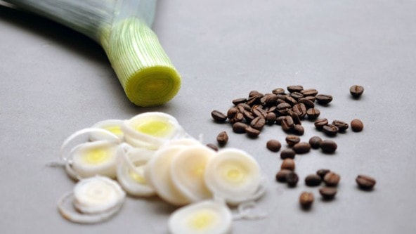 Kaffee-Lauch-592x333_1280x1280