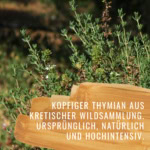 Bildkomposition Thymian Gewürzstudio2